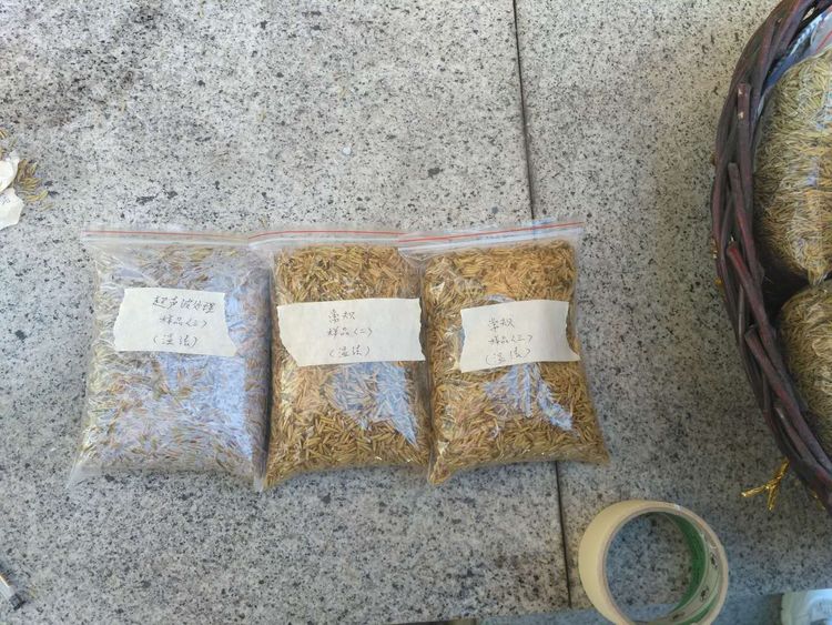 “超聲波處理對(duì)稻谷表面微生物的影響”發(fā)表論文啦??！